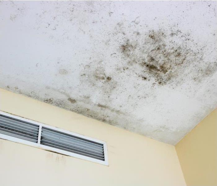 Mold on the ceiling growing towards the cream colored walls of the room.
