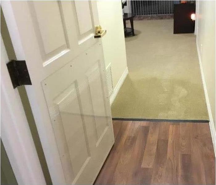 Water Damage on Carpet