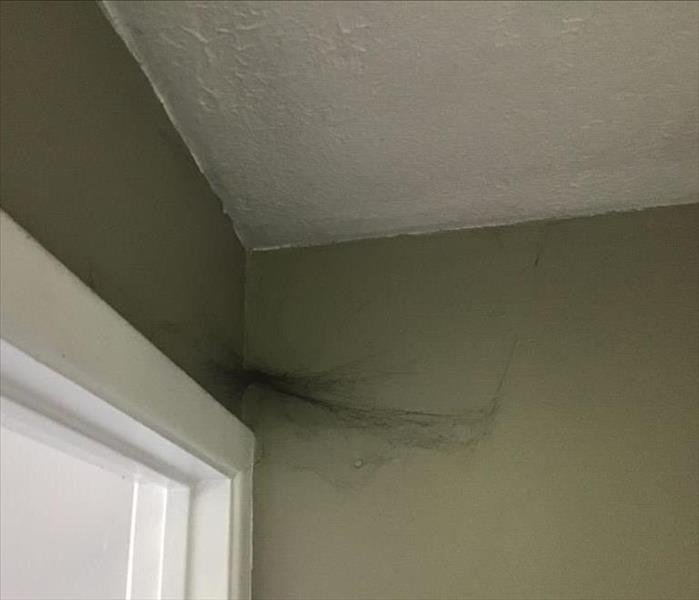 Corner of Home with a Soot Web