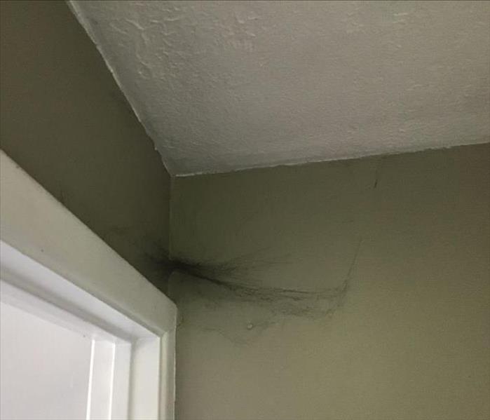 Soot Web in a Corner