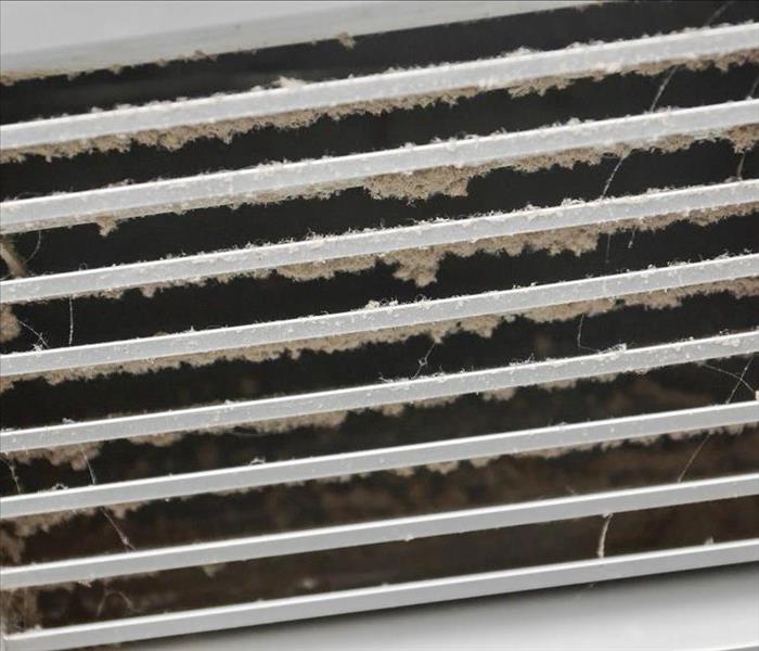 Mold in air vents